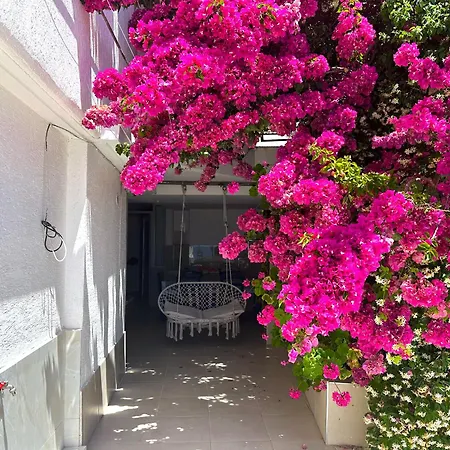 Spacious W Sea View And Private Parking - Sleeps 10